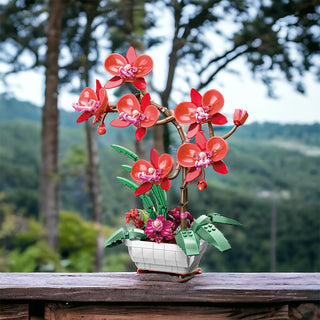 Piros Orchidea